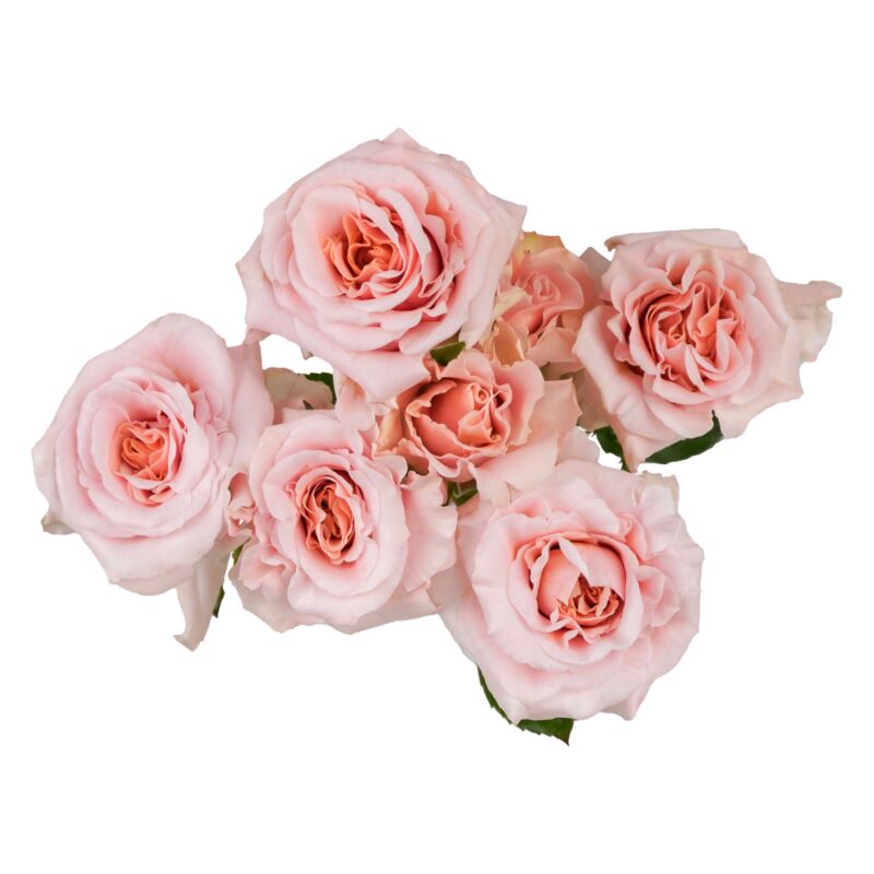Be Loving - Image 2