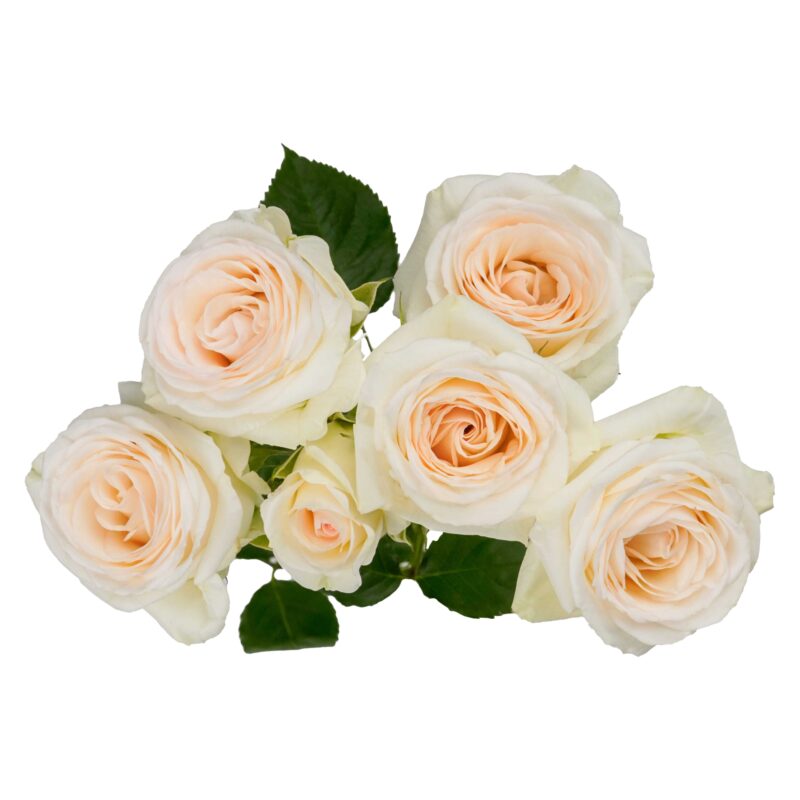 Wedding Blossoms - Image 2