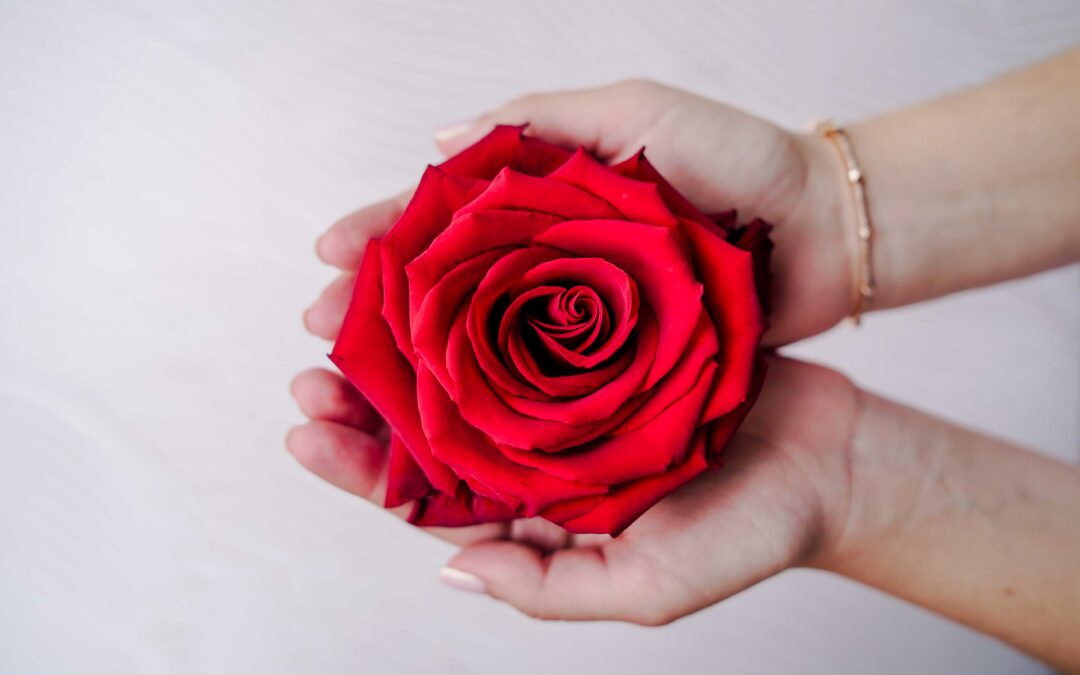 How long do red roses last? The secret to long-lasting Roses